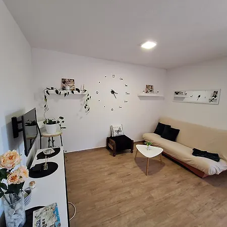 Amazing With A Terrace Apartment *